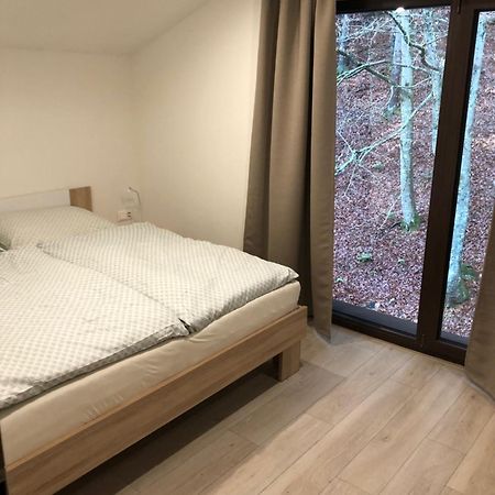 Tale Apartman 9, Lucnica, Chopok Juh Εξωτερικό φωτογραφία